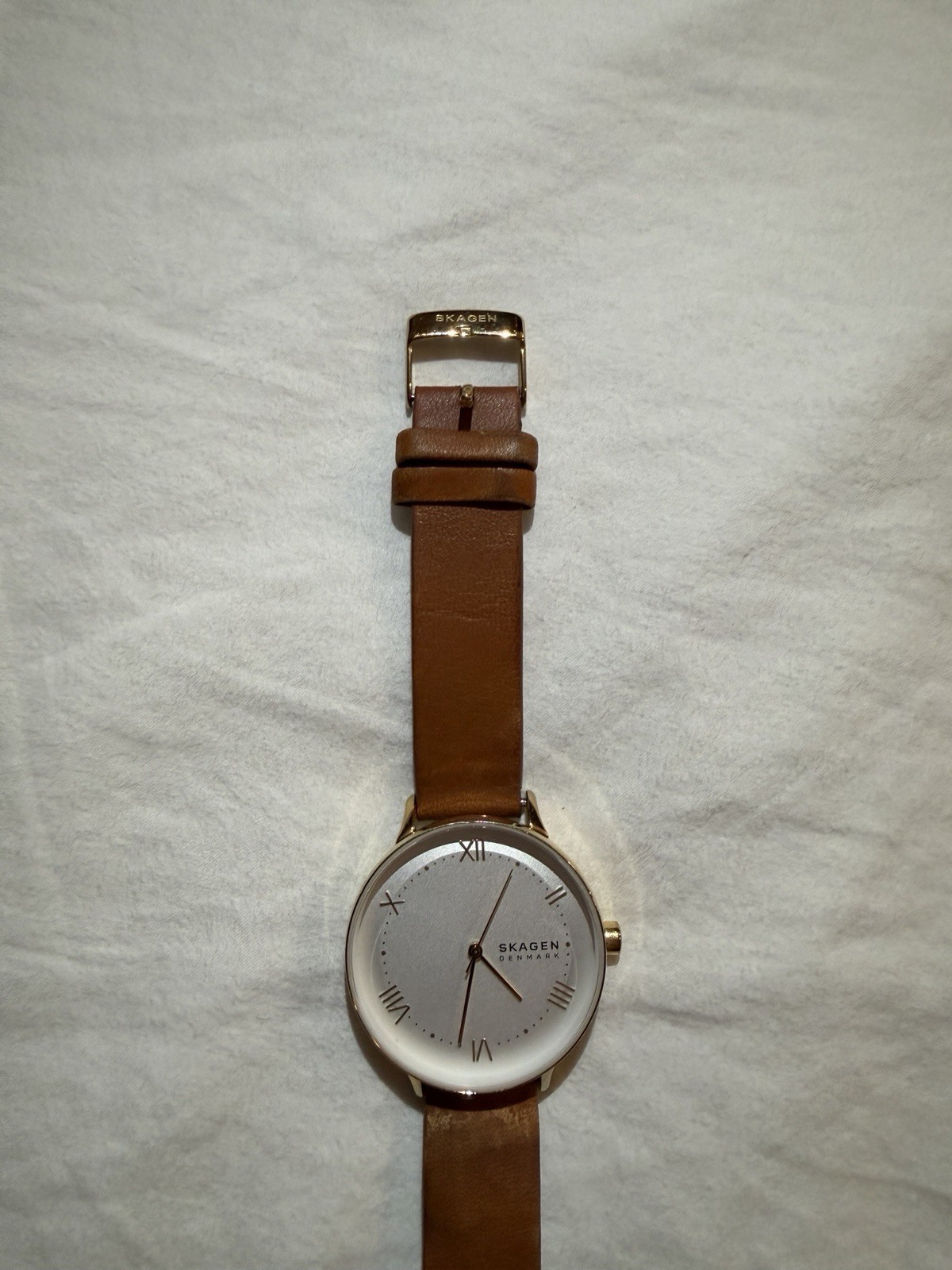 Skagen Denmark Women’s Quartz Watch Gold Case Brown Leather Strap 26mm 30m