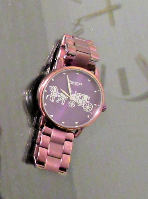 Coach Watch Analog Women or Teen