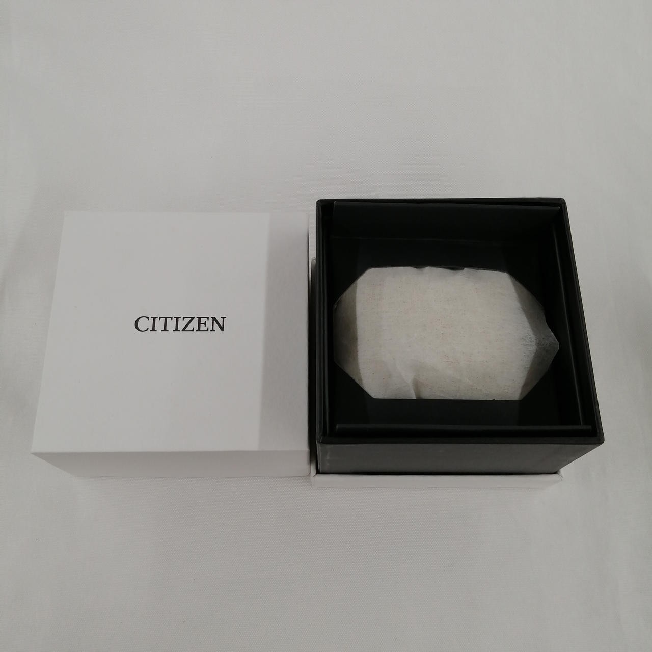 [A4N] Citizen Promaster Land PMD56-2952 Eco-Drive Radio Wave JDM [r8w]