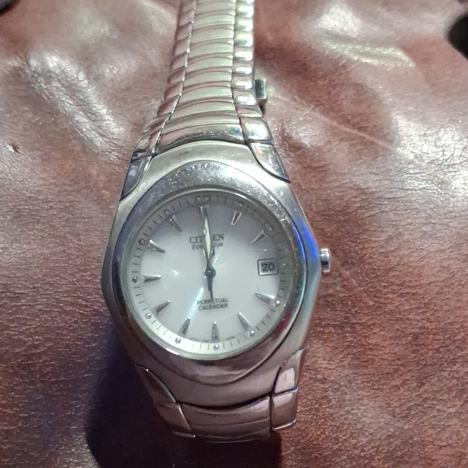 Citizen Eco-Drive Quartz WR100 Silver Dial Perpetual Calendar Date Men’s 39mm